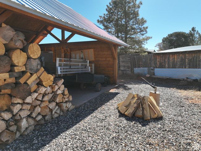 View of yard | Image 14