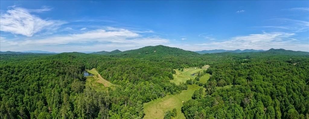 Land in Mineral Bluff 3