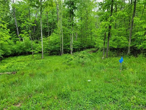 0 Co Road 24- Lot 14, Grove, NY, 14884 | Card Image