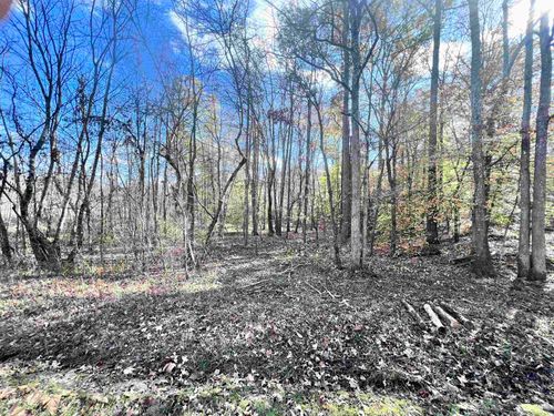 lot-4-652-acres-0 Pond Branch Rd, Buena Vista, TN, 38318 | Card Image
