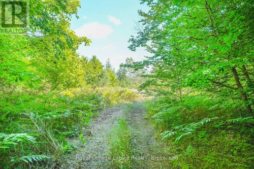 Lot 3 6th Ave, South Bruce Peninsula, ON, N0H | Card Image