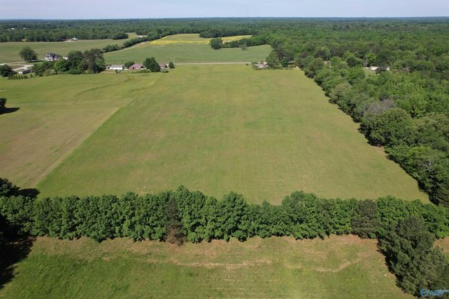 Lot 4 Tillman Mill Rd, Home with 0 bedrooms, 0 bathrooms and null parking in Athens AL | Image 7