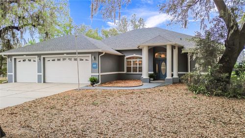 507 Dowling Cir, LADY LAKE, FL, 32159-2532 | Card Image