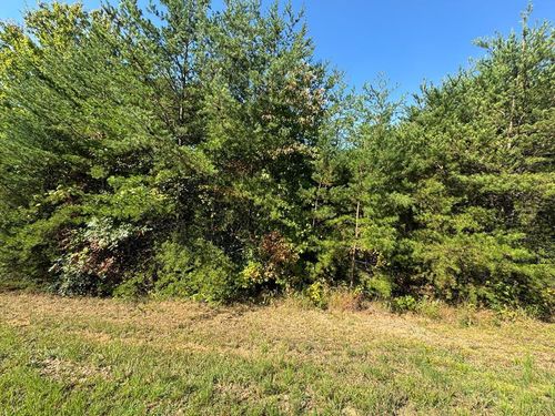 115 Black Hawk Trl, Turtletown, TN, 37391 | Card Image