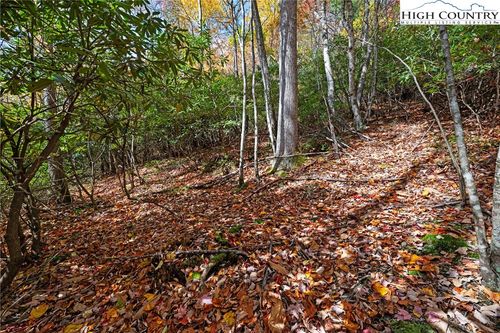 244 Poplar Dr, Beech Mountain, NC, 28604-8397 | Card Image