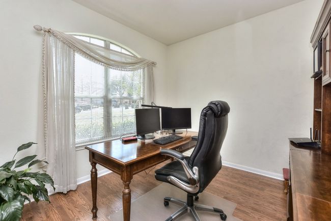 Study | Image 6
