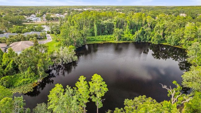 Community Lake | Image 40