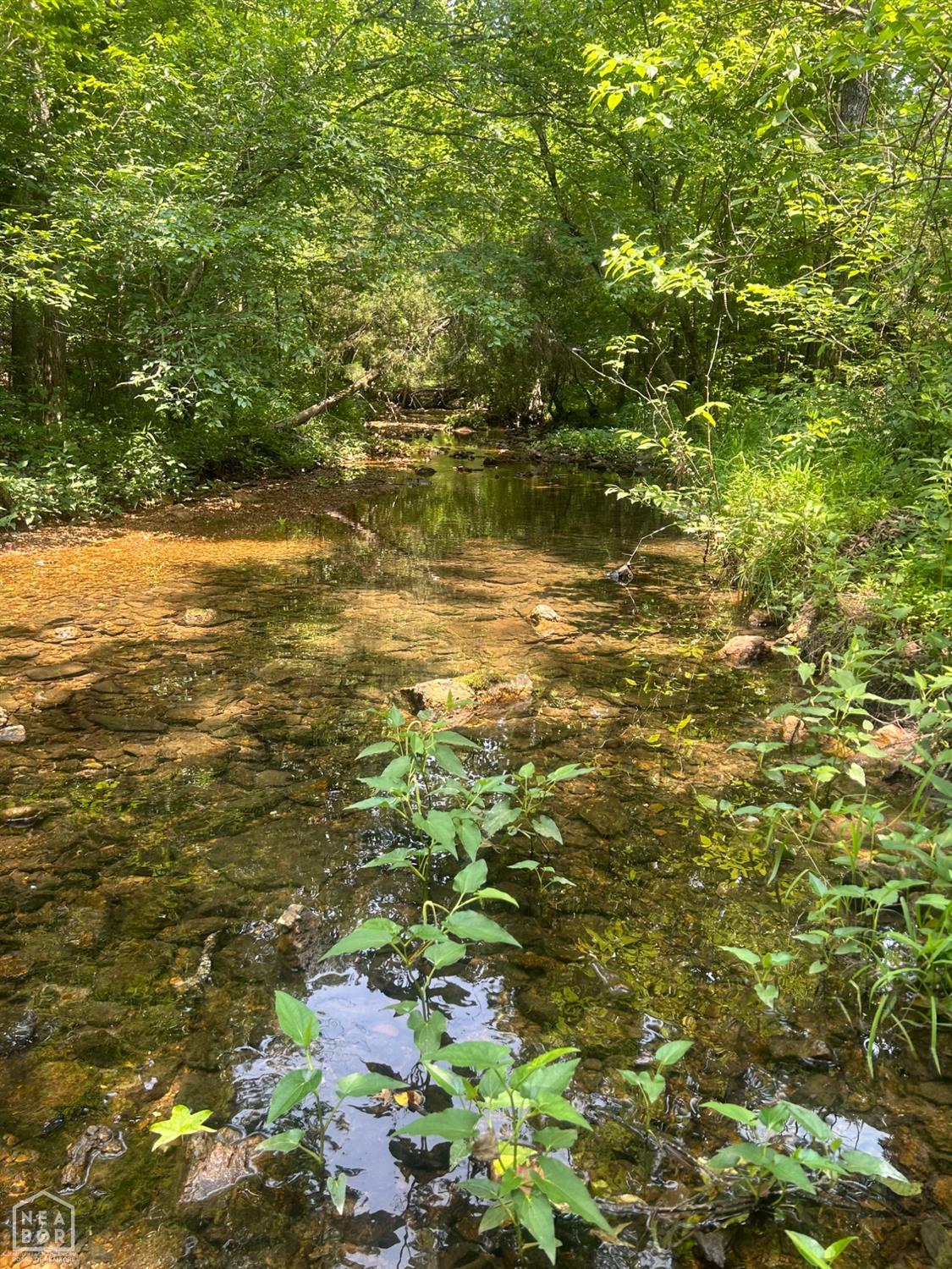 Land in Smithville 4