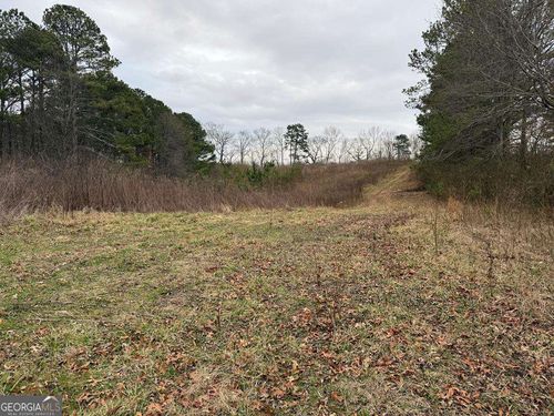 0 County Road 63, Ranburne, AL, 36273 | Card Image
