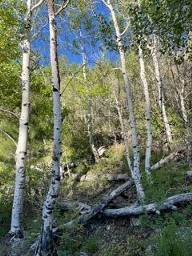 8 | Image 8