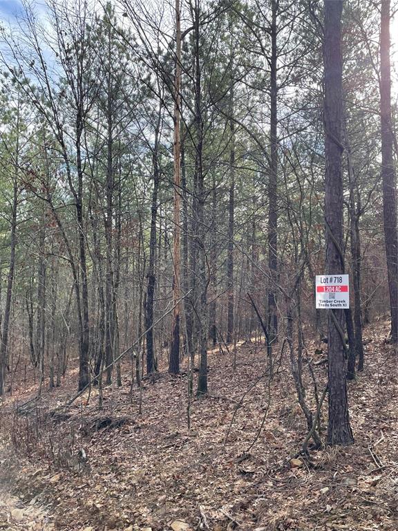 Land in Broken Bow 2