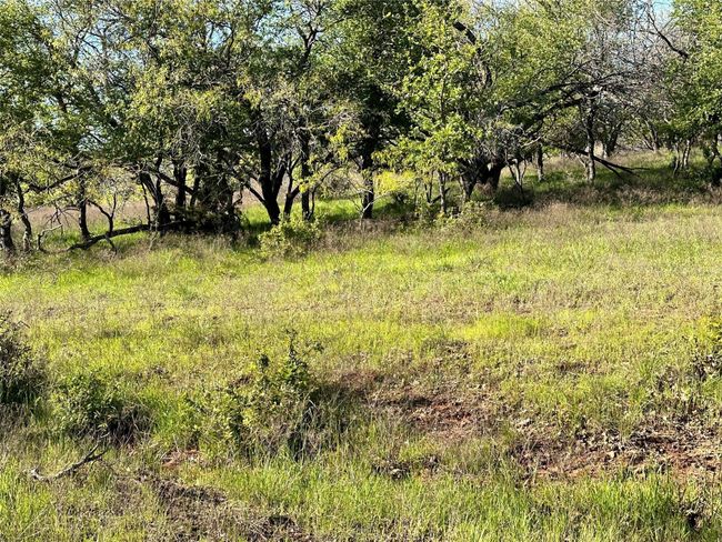 Lot 13 Cr 127, Home with 0 bedrooms, 0 bathrooms and null parking in Carlton TX | Image 14