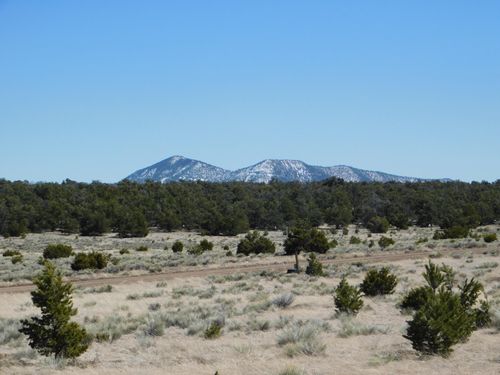 Lot 81 Artesian Ave, Quemado, NM, 87829 | Card Image