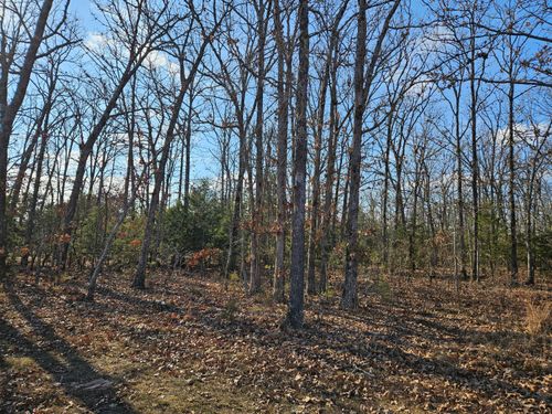 Tract 4 State Highway 174, Marionville, MO, 65705 | Card Image