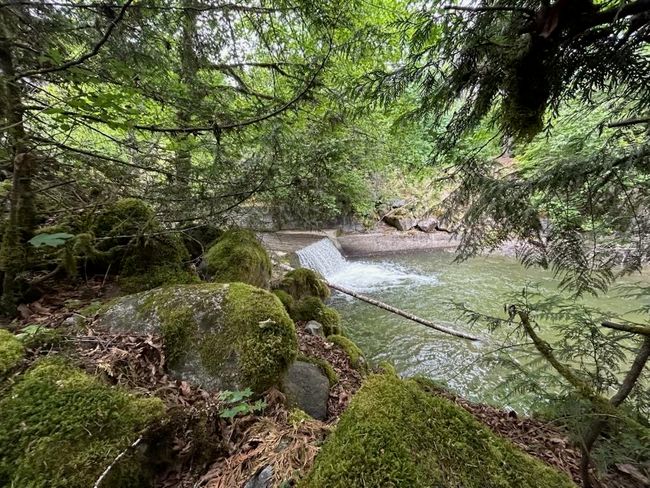 Lot 6 Trans Canada Highway, Home with 0 bedrooms, 0 bathrooms and null parking in Yale BC | Image 13