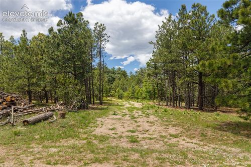 8719 Ponderosa Pine Dr, Beulah, CO, 81023-9759 | Card Image