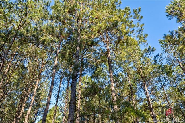 0 Hwy 77, Home with 0 bedrooms, 0 bathrooms and null parking in Lexington GA | Image 11