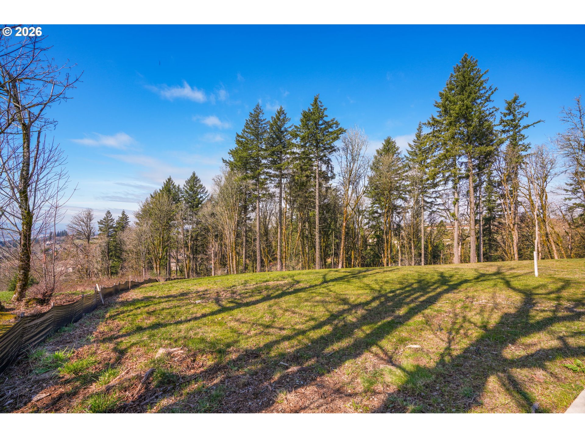 Land in Camas 4