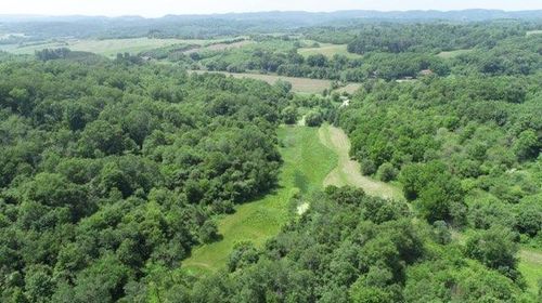 41088 County Road Bb, Independence, WI, 54747-8156 | Card Image