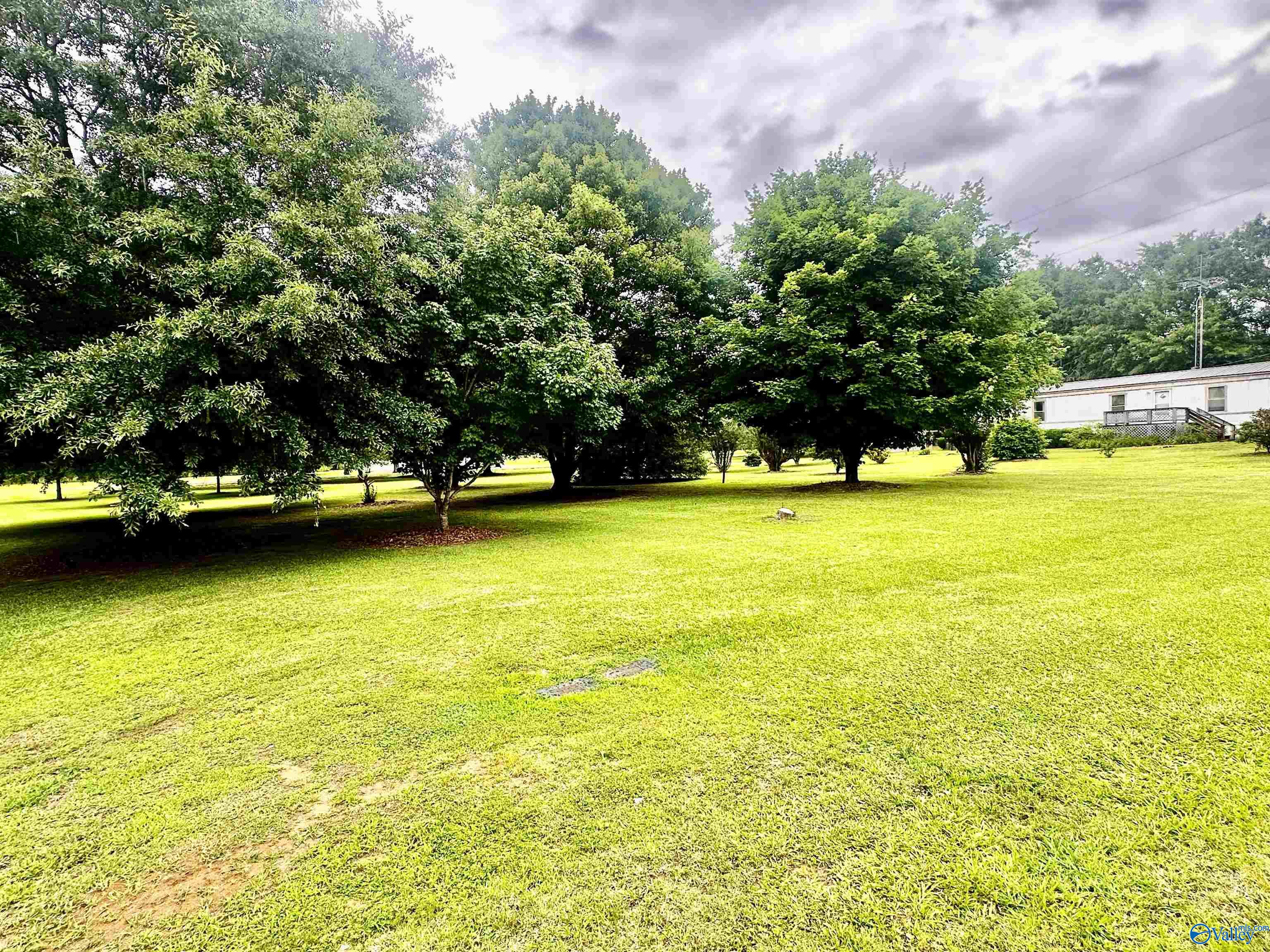 County Road 49 , Cedar Bluff, AL 35959