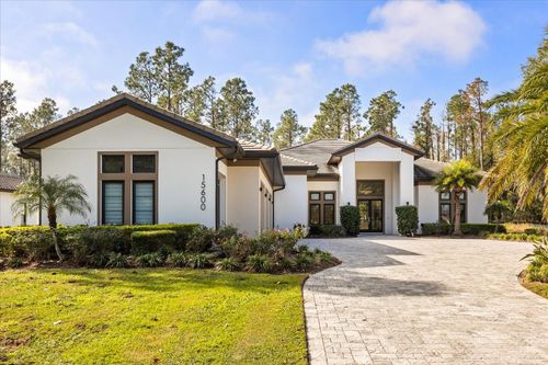 15600 Pendio Dr, BELLA COLLINA, FL, 34756-3636 | Card Image