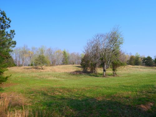 0 Daugherty Ferry Rd, Sale Creek, TN, 37373 | Card Image