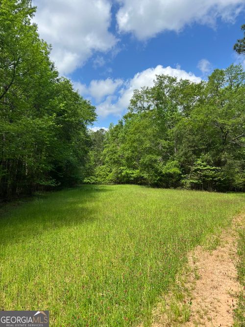 0 County Line Church Rd, Warm Springs, GA, 31830 | Card Image