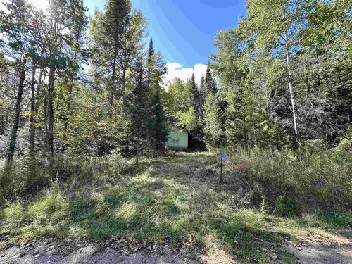 3313 Johnson Road, Nashville, WI, 54520 | Card Image