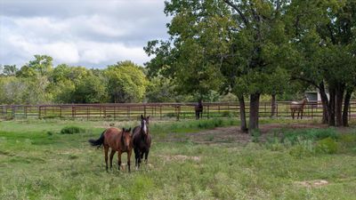 Front Pasture | Image 2