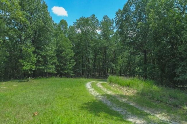Planned roads in subdivision | Image 44