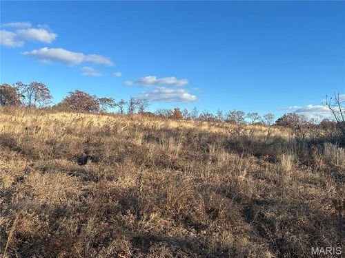 11918 Spring Town Rd, Mineral Point, MO, 63660-9225 | Card Image