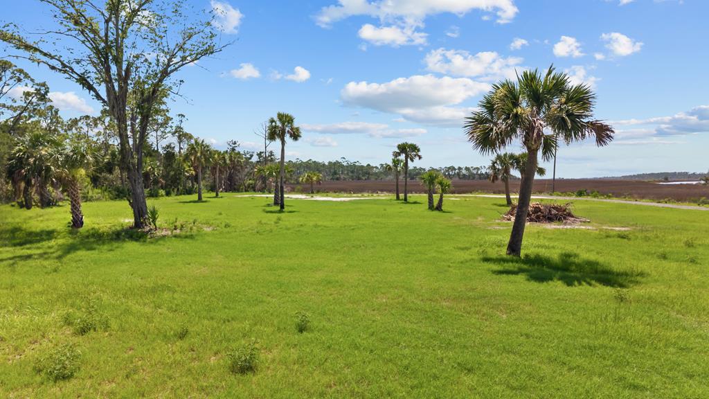 Land in Steinhatchee