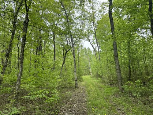 2 Poplar Ridge Rd, Chapmansboro, TN, 37035 | Card Image