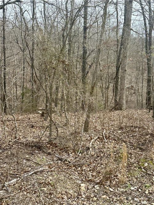 000 Aberdeen Dr, Bella Vista, AR, 72715 | Card Image