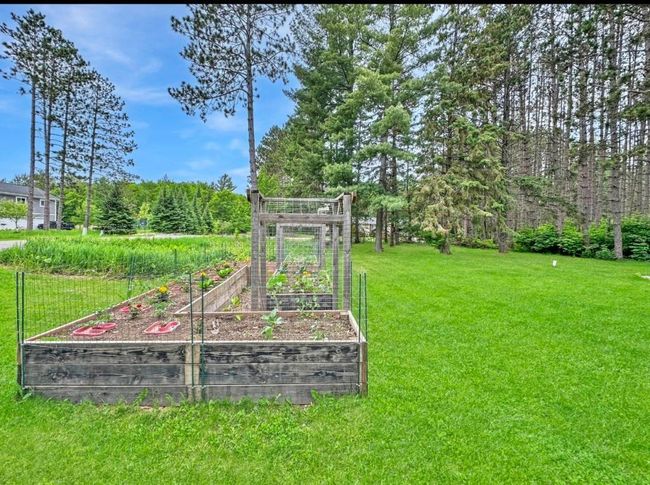 27 Raised Garden.jpeg | Image 29