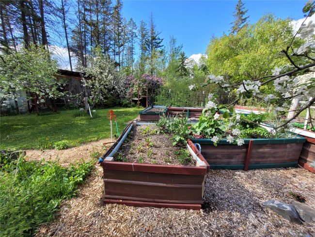 View of grassy yard with a vegetable garden | Image 109