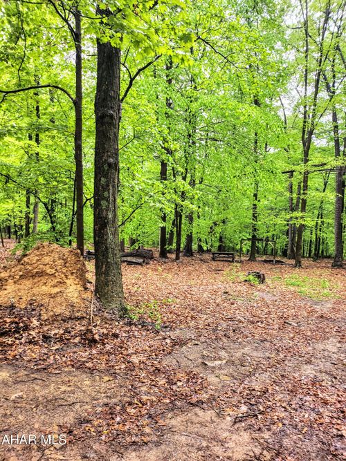 0 Mosquito Hollow Rd, Six Mile Run, PA, 16679 | Card Image