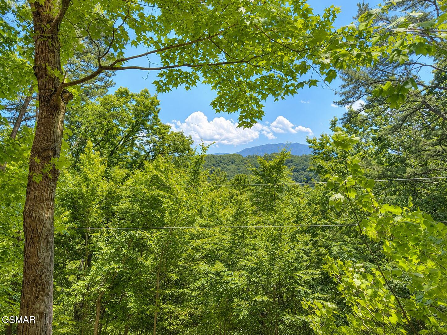 Residential in Pigeon Forge 2