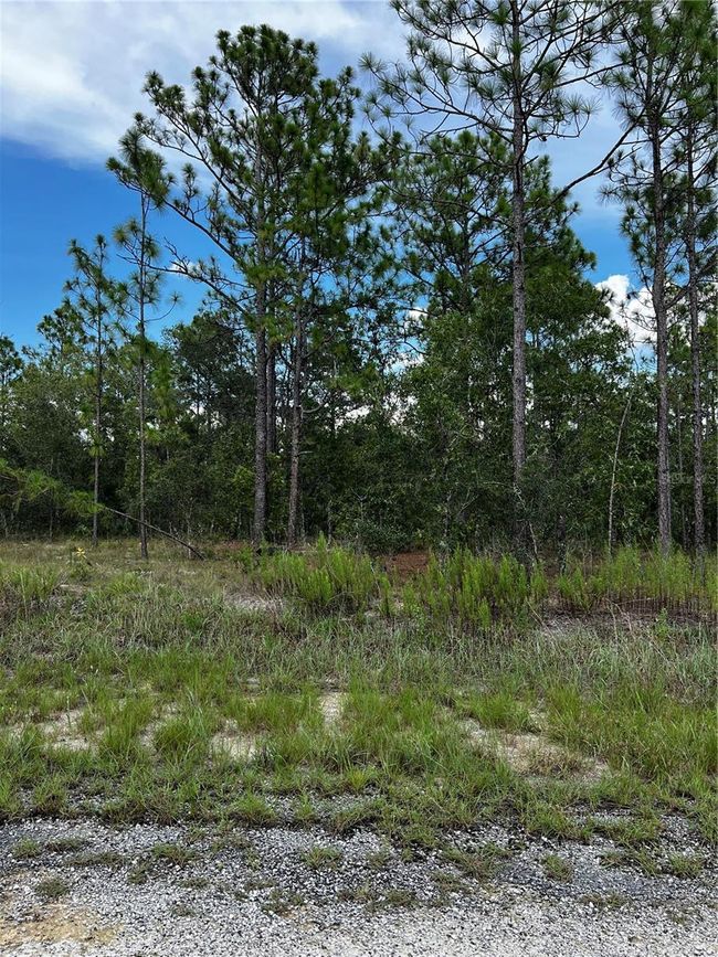 00 Se 131 Terrace, Home with 0 bedrooms, 0 bathrooms and null parking in Dunnellon FL | Image 1