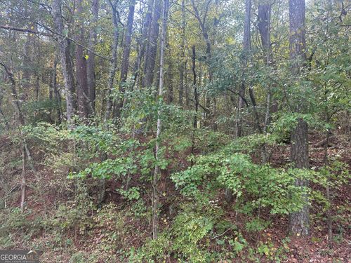0 Carver Mill Rd, Talking Rock, GA, 30175 | Card Image