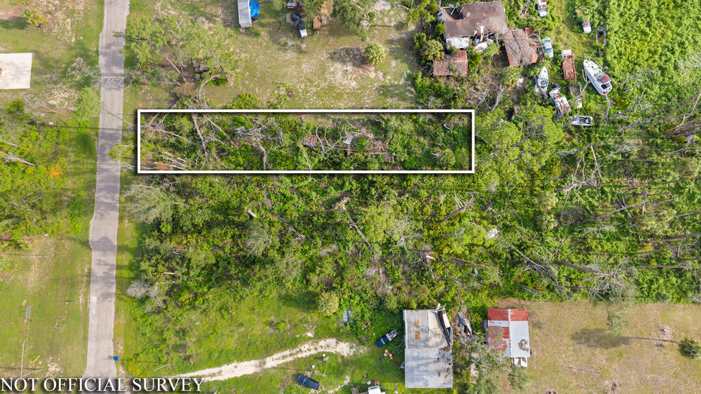 Land in Steinhatchee