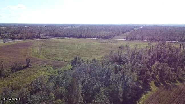 00 State Road 71 N, Home with 0 bedrooms, 0 bathrooms and null parking in Altha FL | Image 11