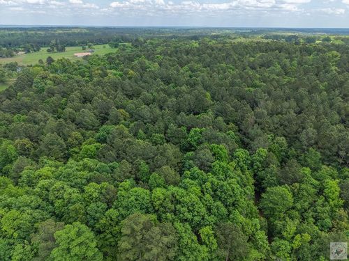 TBD County Road 3217, Atlanta, TX, 75551 | Card Image