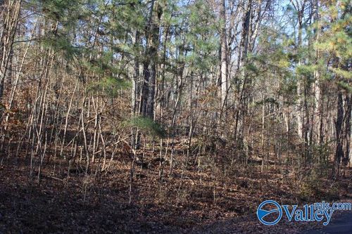 404 Tomahawk Cir, Guntersville, AL, 35976 | Card Image