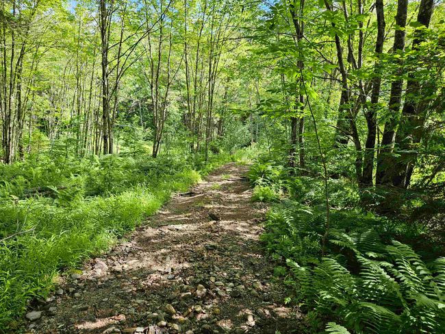 4000-ANDAMP-5000 - 00 Snowshoe Hill Rd, Home with 0 bedrooms, 0 bathrooms and null parking in Canterbury NH | Image 8