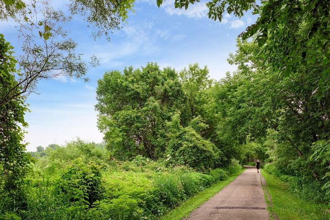 Veteran's Park Paths | Image 27