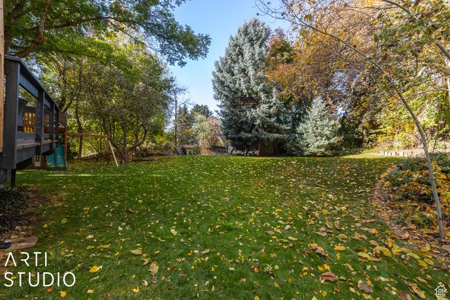 View of grassy yard | Image 50