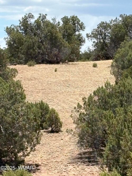 15D Lazy O Ln, Show Low, AZ, 85901 | Card Image