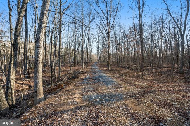 LOT 4 Back Creek Rd, Home with 0 bedrooms, 0 bathrooms and null parking in GORE VA | Image 14