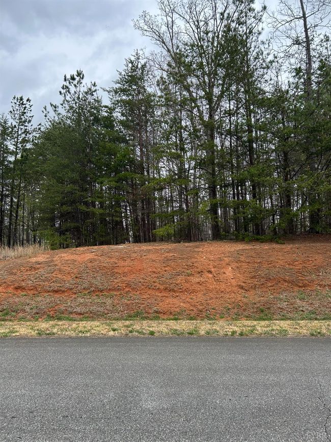 107 Runaway Bay Rd, Home with 0 bedrooms, 0 bathrooms and null parking in Lynch Station VA | Image 4